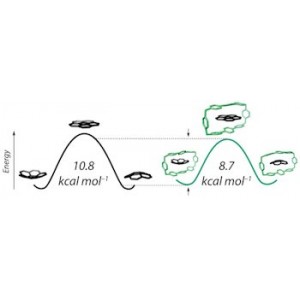 СИНТЕТИЧЕСКАЯ МОДЕЛЬ ПРИРОДНОГО КАТАЛИЗАТОРА