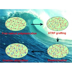 НОВЫЕ СОРБЕНТЫ ИЗВЛЕКАЮТ УРАН ИЗ МОРСКОЙ ВОДЫ